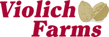 Violich Logo